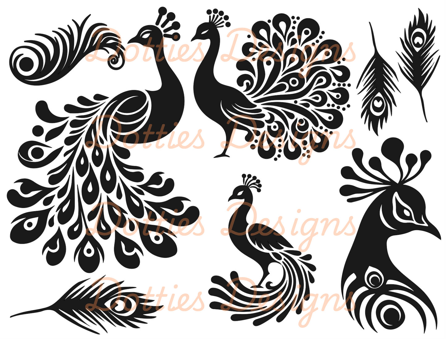 Peacock Peekaboo (Advanced)