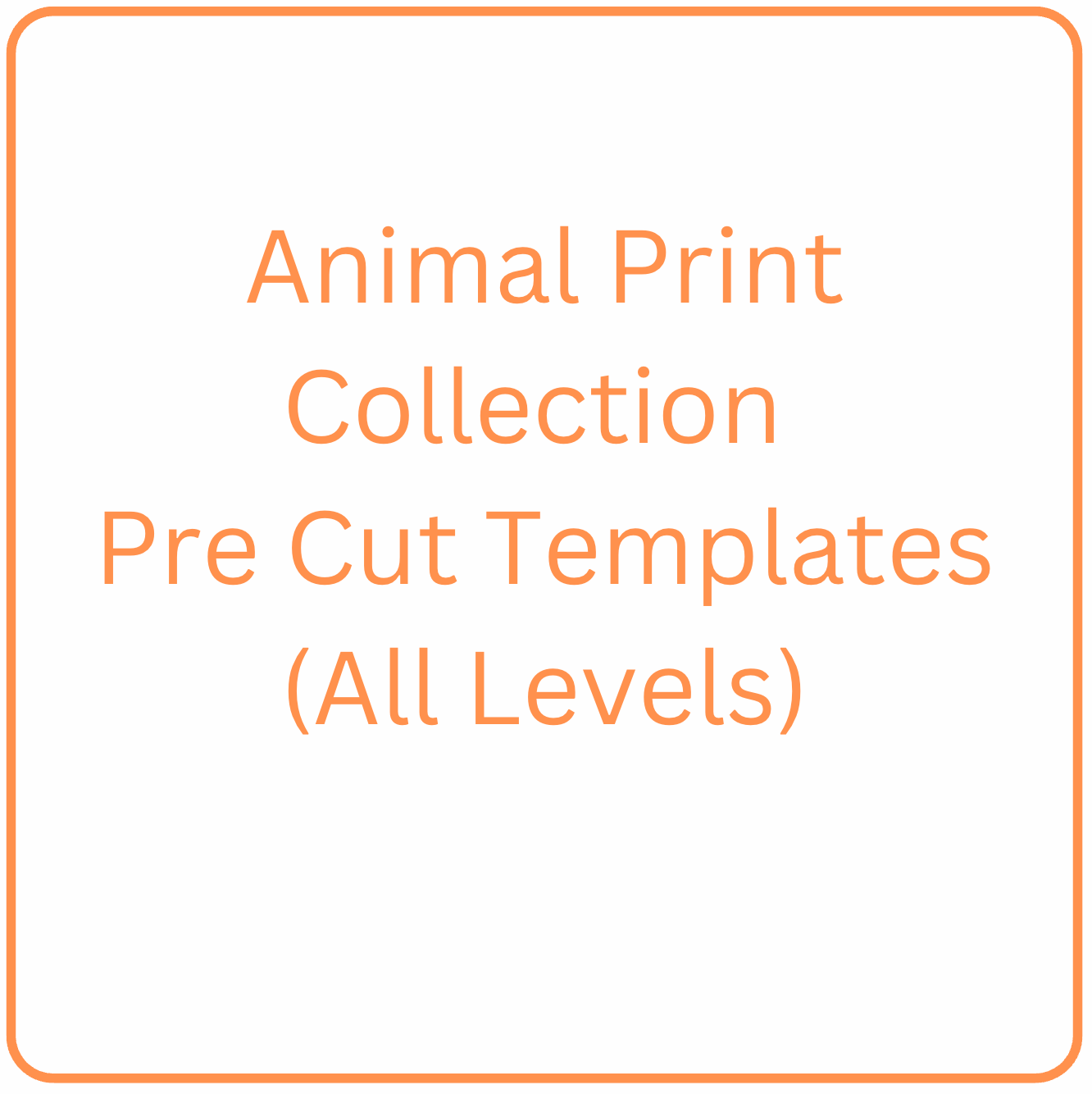 Animal Print Collection