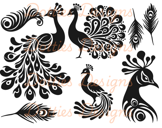 Peacock Peekaboo (Intermediate)