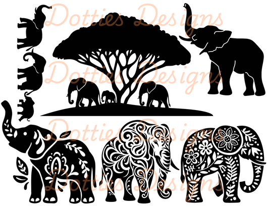 Elephant Peekaboo (Intermediate)